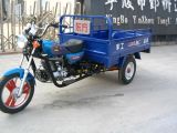 Three Wheel Motorcycle (DF250)