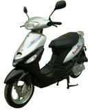 Scooter (WJ50QT-4(1))