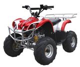 50cc Air Cooling ATV (QY50ATV-12)