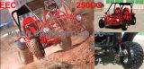 250cc Water Cooled Double Chain Drive Go Kart with EEC (YG250E-G)