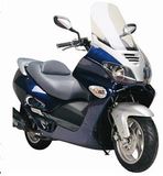 EEC & EPA Gas Scooter (YY250T)