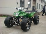 Quad Racing 250 EEC Bashan Engine