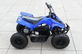 Hot Sale Buggy Car 500W 800W Mini ATV for Sale