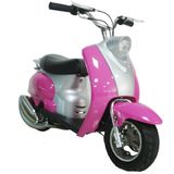 Mini Gas Scooter (WL-A117B)