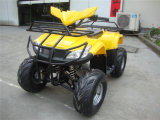 New Cheap 110cc ATV Plastic Body