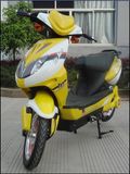 Electric Bicycle (TDR01Z)