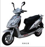 E-Bicycle (YRDM12Z)