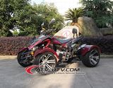 China Made 300cc Racing CVT