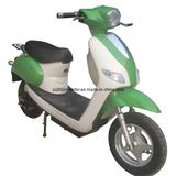 OEM 800W Electric Scooter Zxtdm62z-a (ZX-NH3)