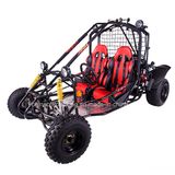 250cc CVT Shaft Drive Buggy (DMB250-02)