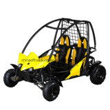 CE Approved 110cc Go Cart (DMB110-05)