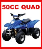 New 50cc Mini Quad ATV for Kids (MC-303)