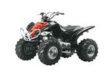 Cool ATV110