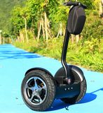 2 Wheel Electric Balance Golf Scooter (ESIII)