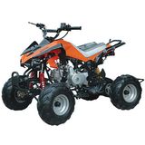 110cc ATV with Two Front Eyes Light (ZC-ATV-02D)