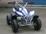 49CC Mini ATV Quad, Pull Start Motorcycle (ET-ATVQUAD-26)