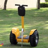 Cheap Self Balancing Electric Motorbike Sports Scooter