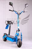 Electric Scooter (ES5006)