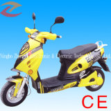 Electric Bicycle (ZYEB-004)
