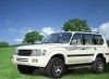 Conqueror SUV (LC)