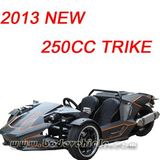 New 250CC Trike (MC-369)