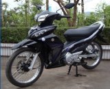 Cub Motorcycle/Motorcycle (new motorcycle SP125-48)