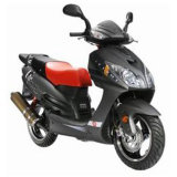 Gas Scooter (YL50QT-35C)