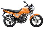 Motorcycle (HJ125-2A)