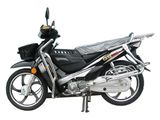 Gasoline Scooter (JH110)