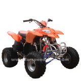 110CC Polaris Style ATV (FPA110-B)