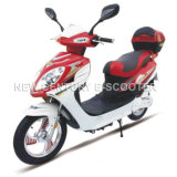 Electric Scooter (NC011)