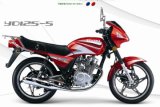 Motorcycle (YD125-5)