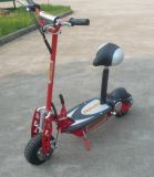 800W Electric Scooter (SX-E1013-800)