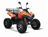 250CC ATV (HD-250H) 