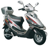 Electric Scooter (TJDM500-01)