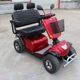 Double Seat Heavy Loading Mobility Scooter, Electric Scooter Em49A