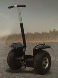 Electric Scooters