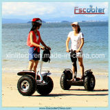 Electrical Scooter with Two Wheel Stand up