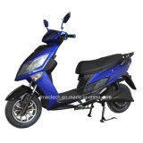 Powerful Fast Speed 2000W Moped Electric Scooter