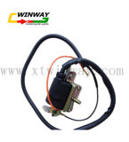 Ww-8313, Grand, Motorcycle Part, Motorcycle Ignition Coil,