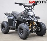 Mini 4 Stroke ATV 50CC ATV Mini Quad for Kids (QWATV-01)