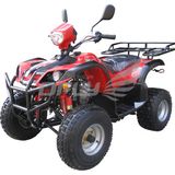 Best China Quad ATV (AT1112)
