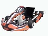 Go Karts 200CC with Wet Clutch (SX-G1101)