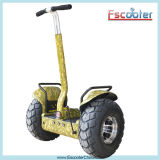 Hot Sale Long Range Motorized Scooter 2000W, 2 Wheels Personal Transportatio, Electric Mobility Scooter