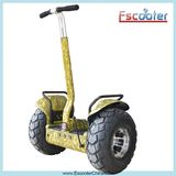 Hot Sale Long Range Motorized Scooter 2000W, 2 Wheels Personal Transportatio, Electric Mobility Scooter