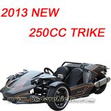 New 250cc Trike for Use