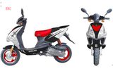 EEC Scooter TY50QT-8C