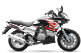 Motorcycle (QLM250-1)