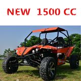 1500cc Dune Buggy (DMB1500-01)