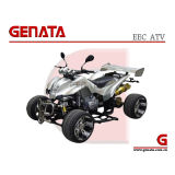 250CC EEC Racing ATV (GT250L-RE3)